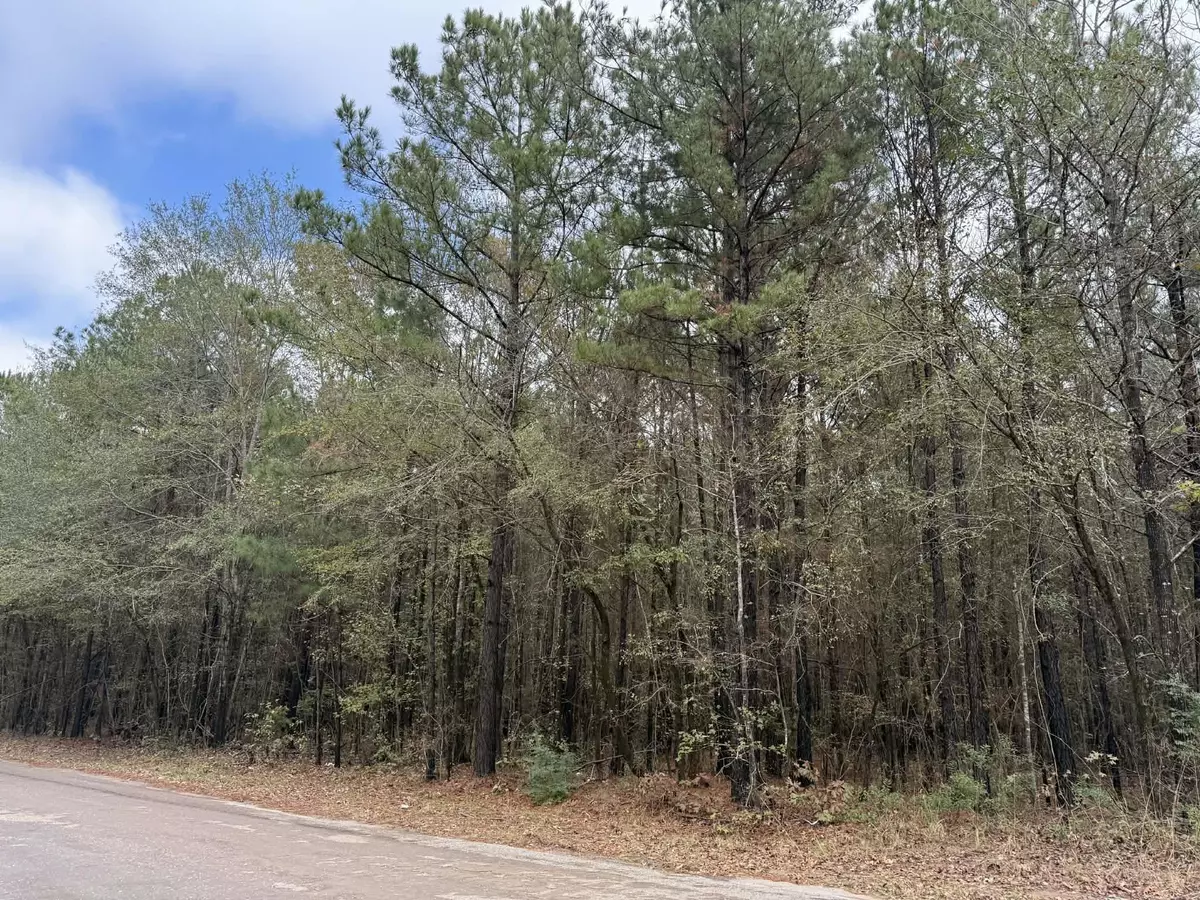 Jefferson, TX 75657,TBD Holiday Harbor Drive