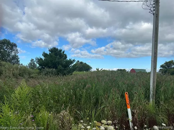 Grant Twp, MI 48032,000 WILDCAT Road