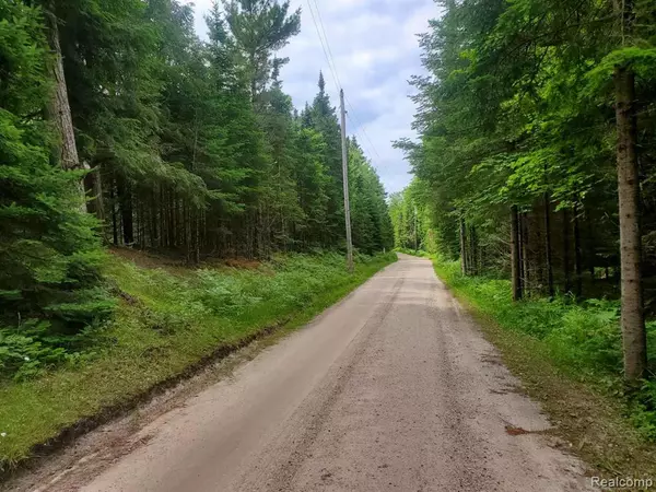 Garfield Twp, MI 49762,0000 Carnegie Trail