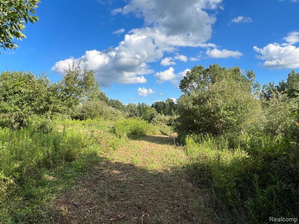 Parcel 010 Great Barrington, Holly Twp, MI 48442