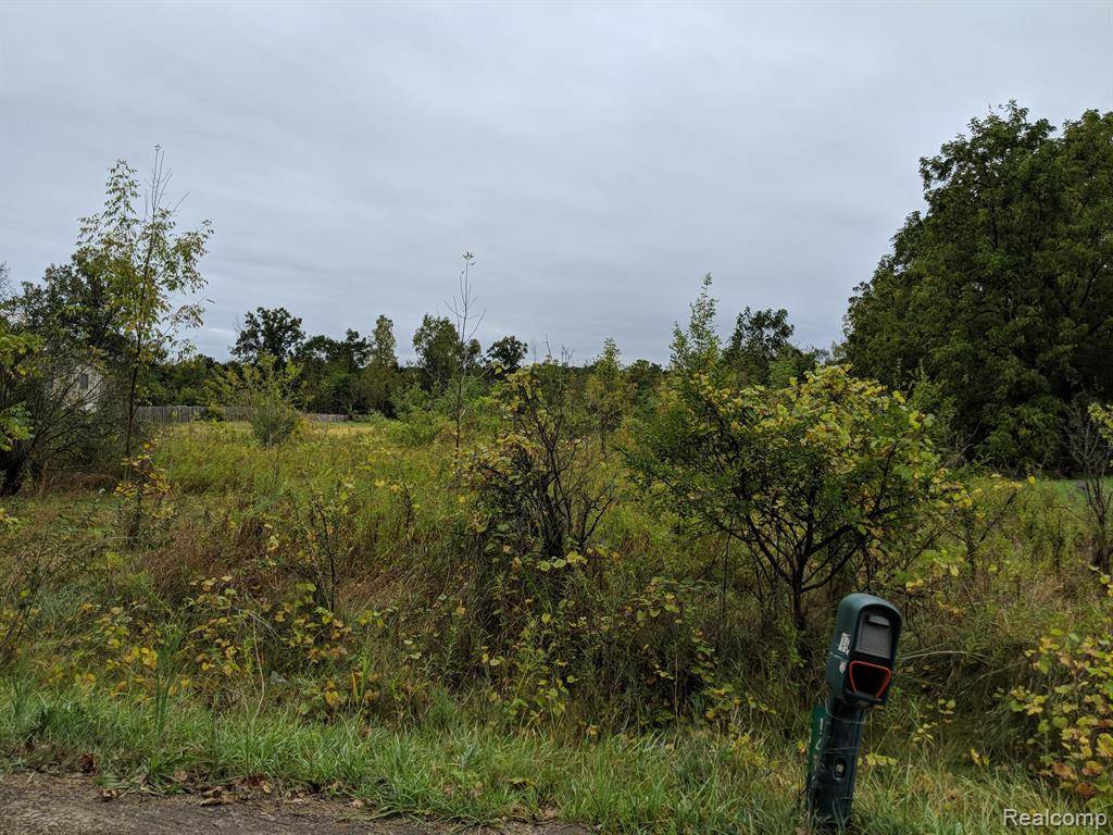 1487 W Cook  Road, Mundy Twp, MI 48439