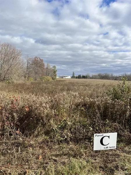 Lot C - VL  Millville Rd., Mayfield Twp, MI 48446
