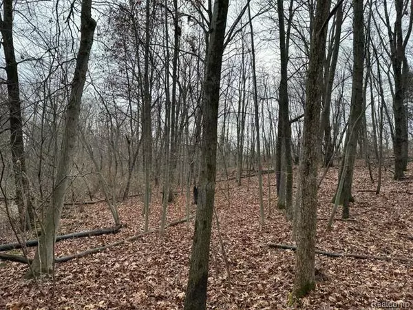 Brandon Twp, MI 48462,2.76 Perry Lake