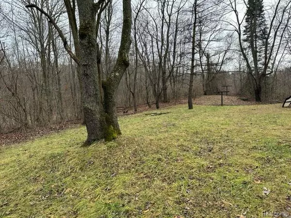 Brandon Twp, MI 48462,2.76 Perry Lake