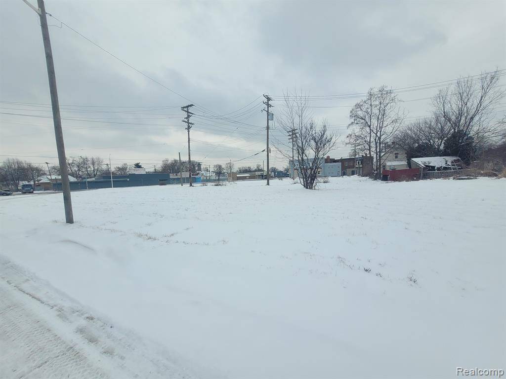 Detroit, MI 48210,3643 30TH Street