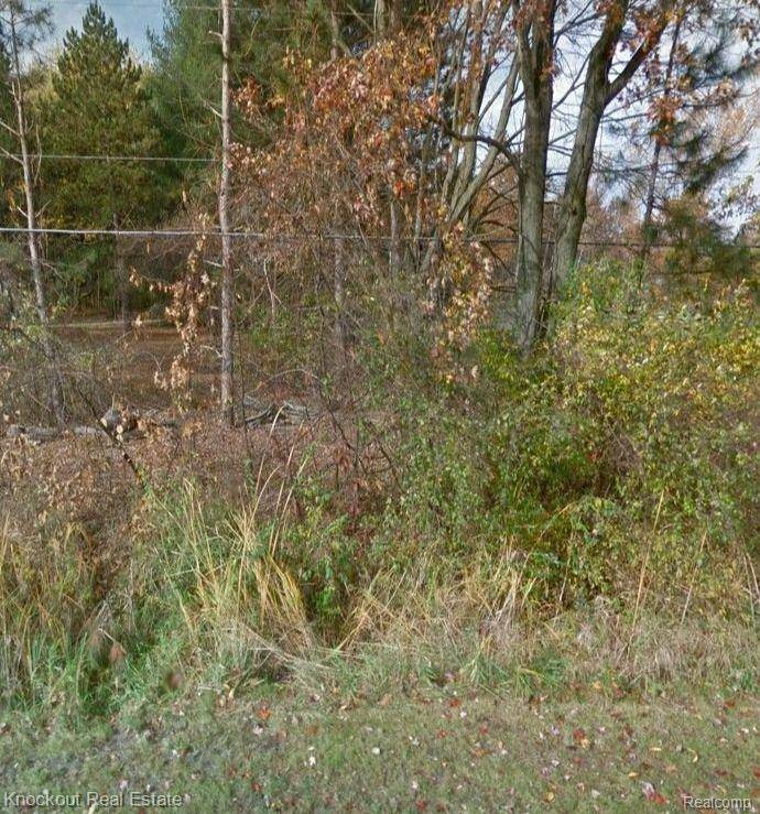 VL S GLEANER Road, Swan Creek Twp, MI 48609