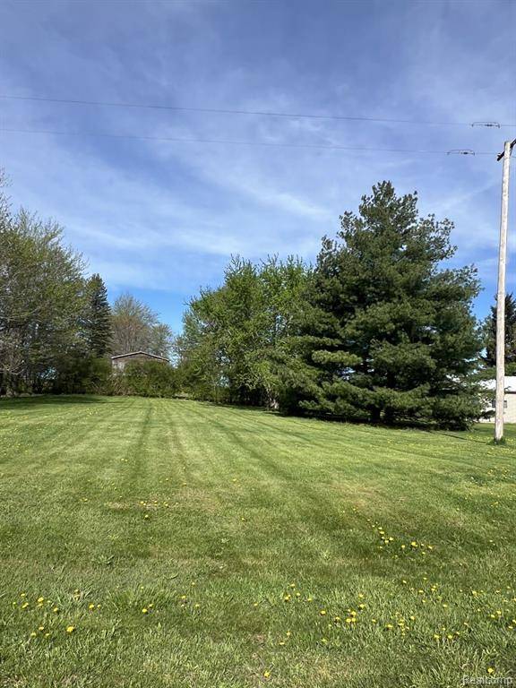 6241 Barnes Road, Burnside Twp, MI 48416