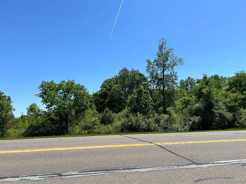 0 N LAPEER Road, Deerfield Twp, MI 48461