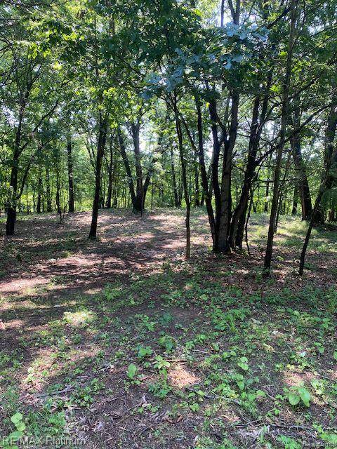 4 Sleaford-Parcel 4 - 32.92 Acres Road, Howell Twp, MI 48843