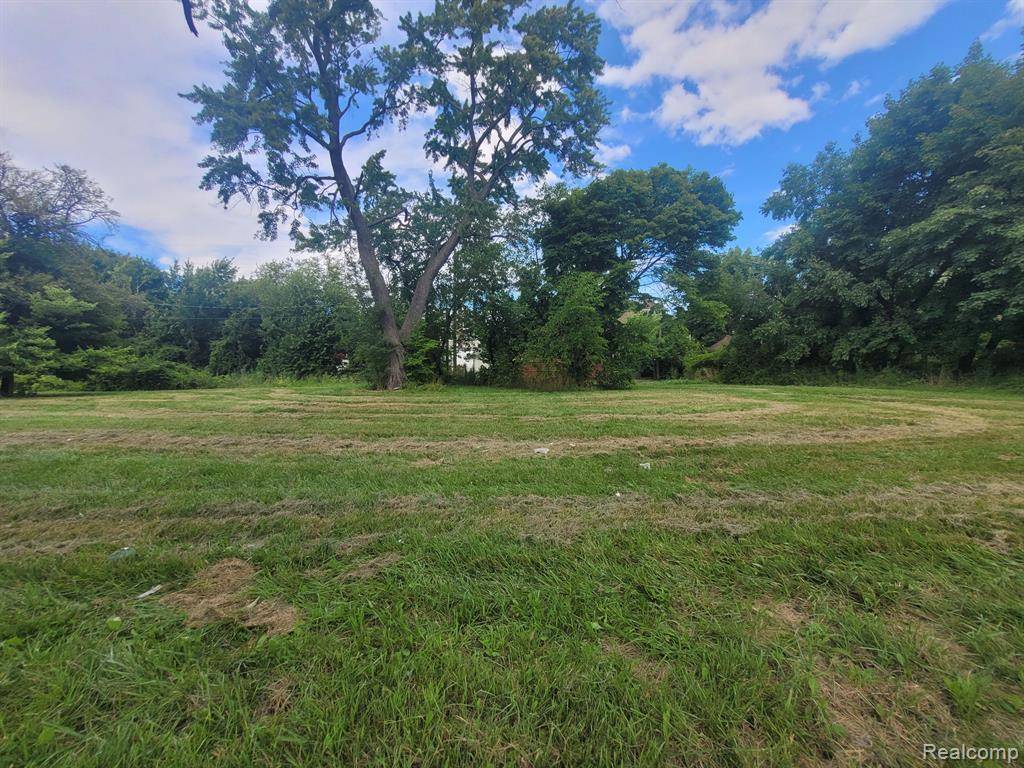 Detroit, MI 48207,3254 CANTON Street