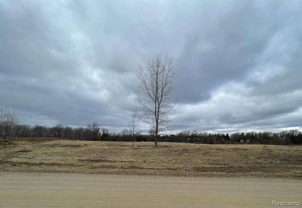 Dryden Twp, MI 48428,Parcel 3 S Creek Ln