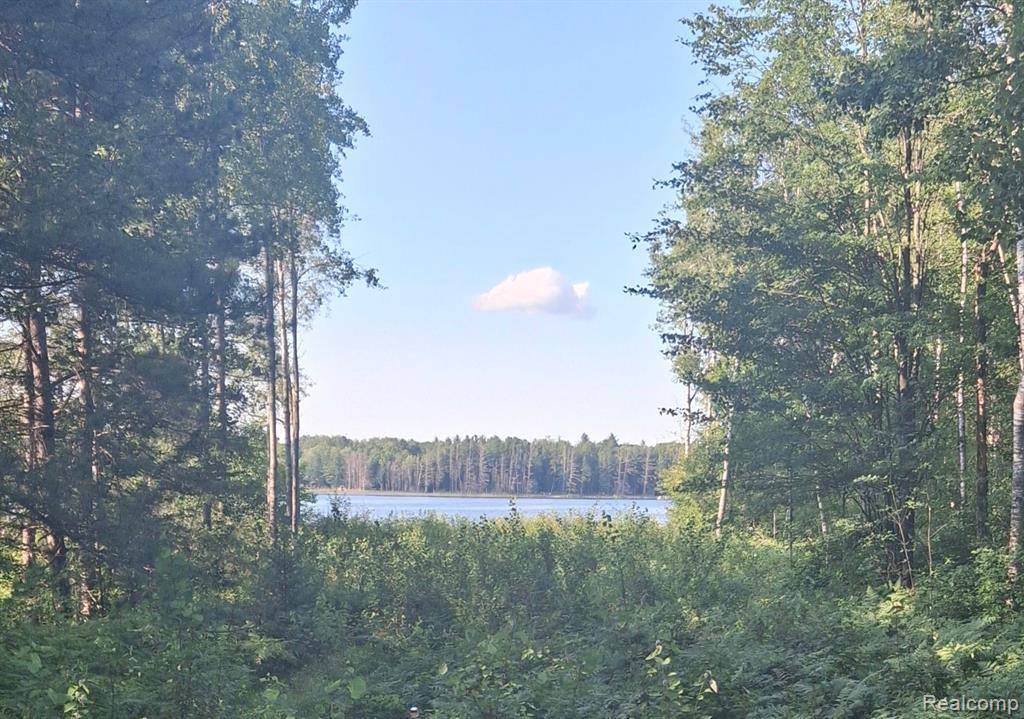 Lot 98 Breezewood Drive, Mancelona Twp, MI 49659