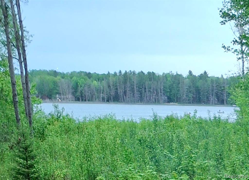 Land 99 Breezewood Drive, Mancelona Twp, MI 49659