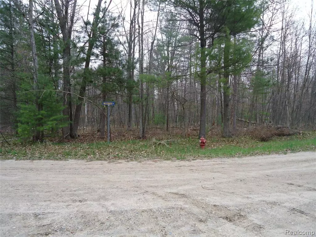 Oscoda Twp, MI 48750,00 Westover Drive