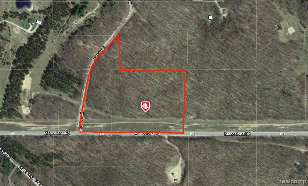 Hayes Twp, MI 49735,00 Mancelona