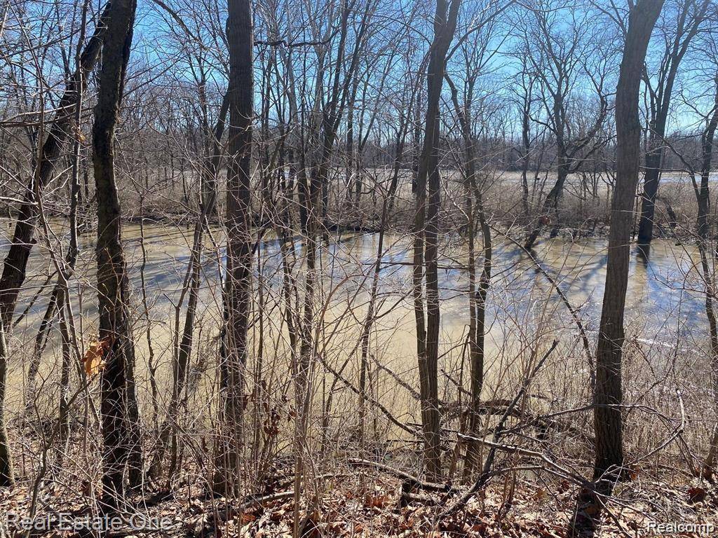 Vacant Stowell Road,  Dundee Twp,  MI 48131