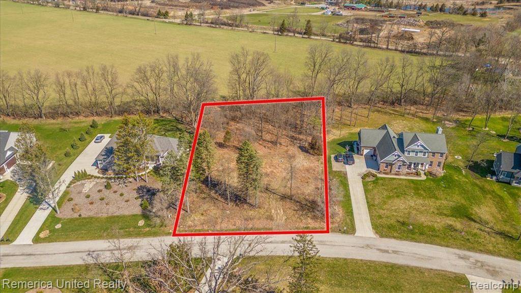 10415 OAK SHORE Drive,  Green Oak Twp,  MI 48178