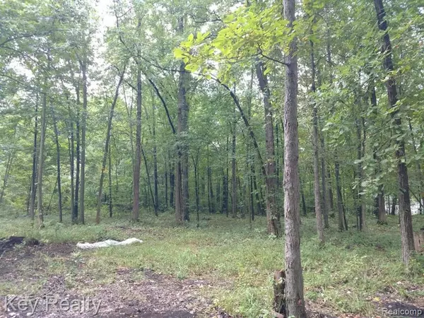 Berlin Twp, MI 48166,03 Joann Drive