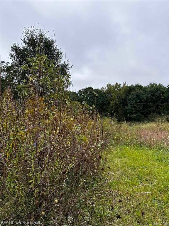 Green Oak Twp, MI 48116,9339 SPICER Road