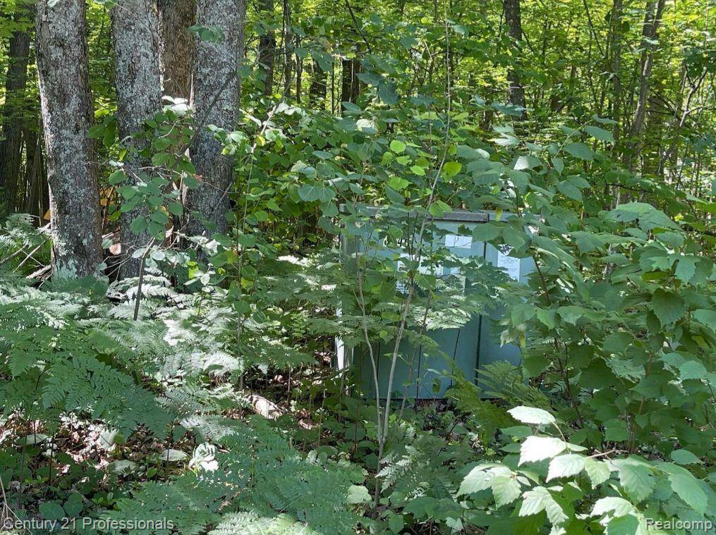 Roscommon Twp, MI 48653,Lot 789 Redwine Drive
