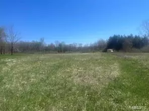 9062 Tower Road E, Salem Twp, MI 48178