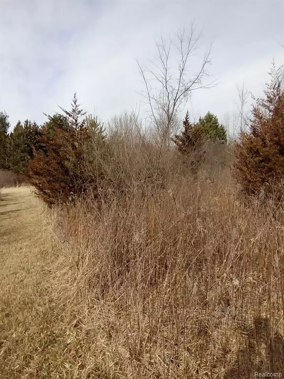 Swartz Creek, MI 48473,4076 Morrish Road