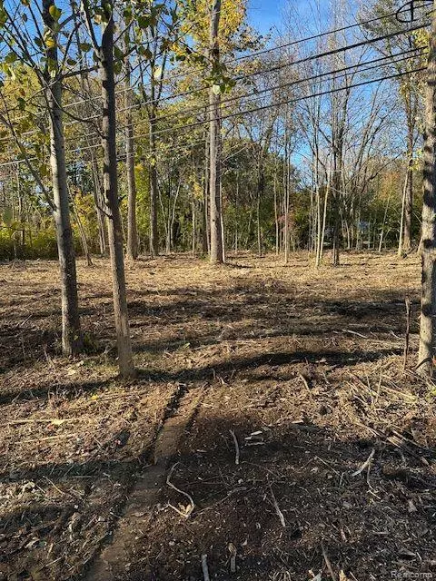 Independence Twp, MI 48348,7827 EAMES Court