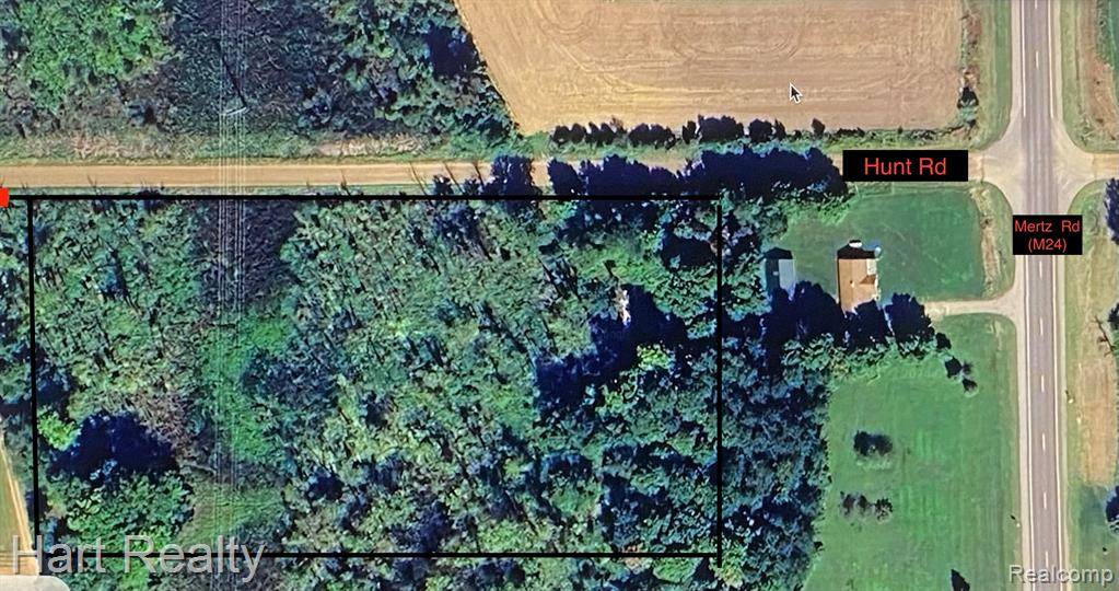 0 Hunt Road, Fremont Twp, MI 48744