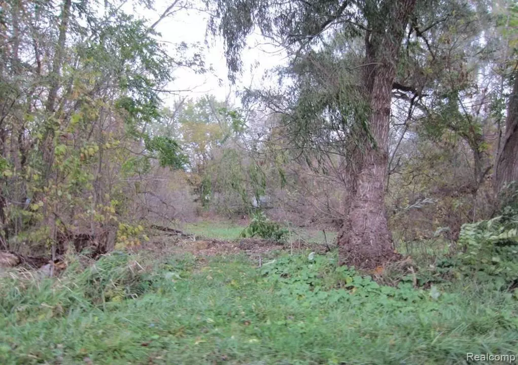 White Lake Twp, MI 48442,VACANT LAND TACKELS