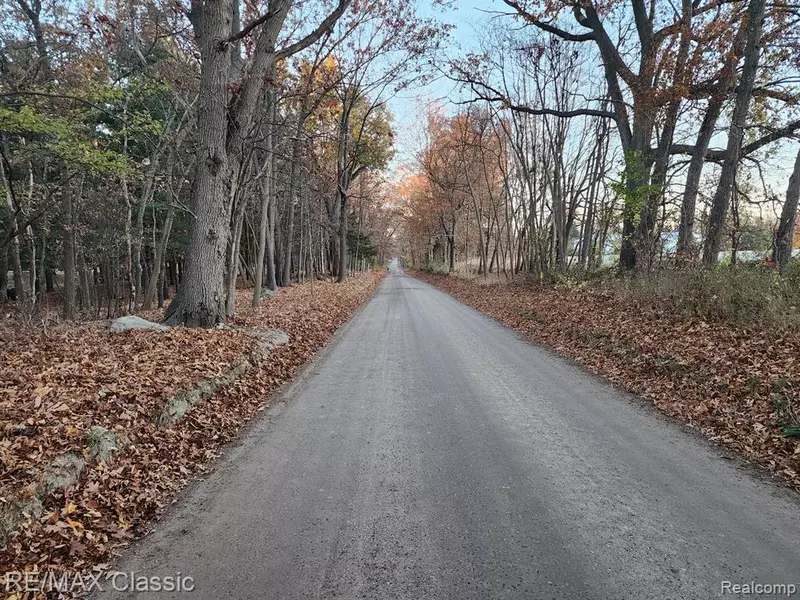 4125 N TIPSICO LAKE Road, Hartland Twp, MI 48353