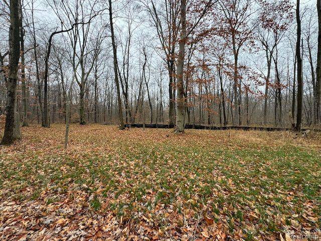 Genoa Twp, MI 48114,Parcel 1 MCCLEMENTS Road