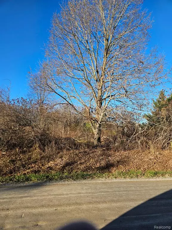 00 Hough, Almont Twp, MI 48003