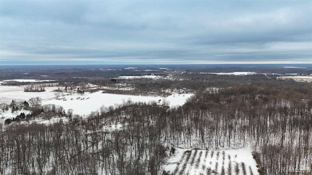 38419 CR 215, Arlington Twp, MI 49013