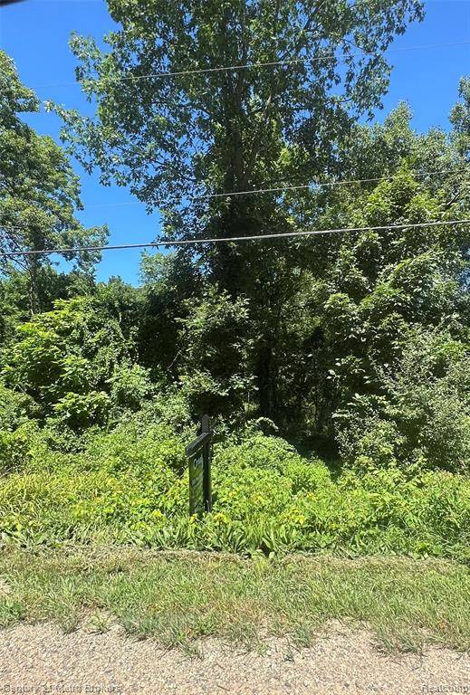 00 White Lake Road, Tyrone Twp, MI 48430