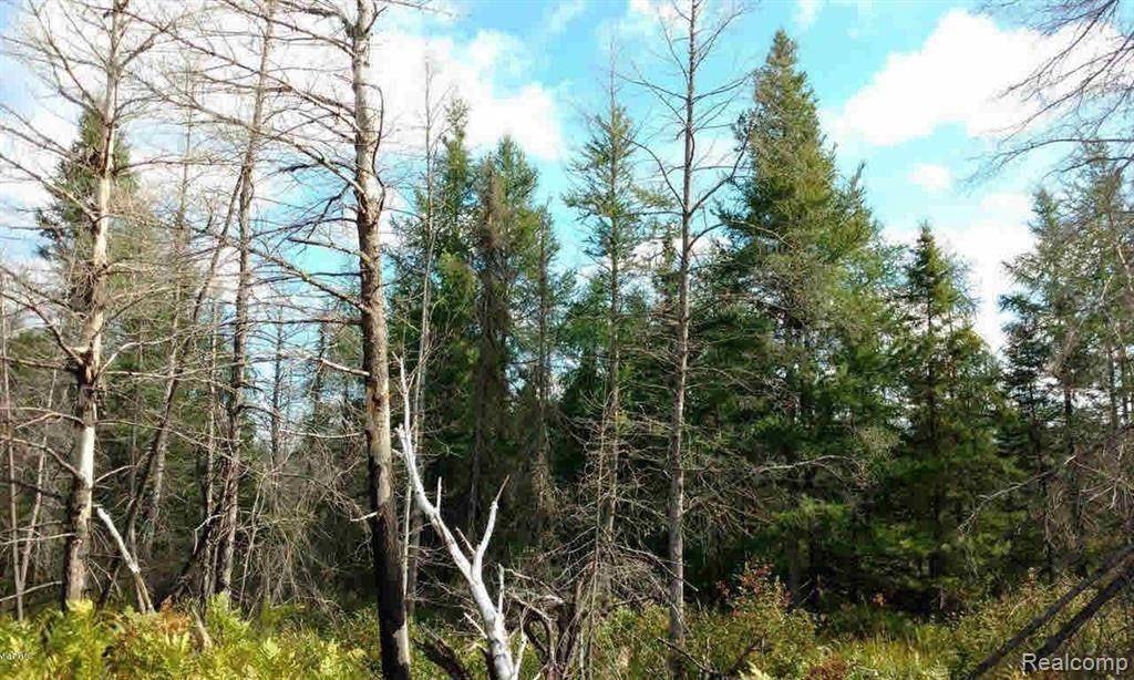 23305 DUCK LAKE Trail, Newberry Vlg, MI 49868