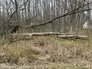Cambridge Twp, MI 49265,7410 Surrey Drive
