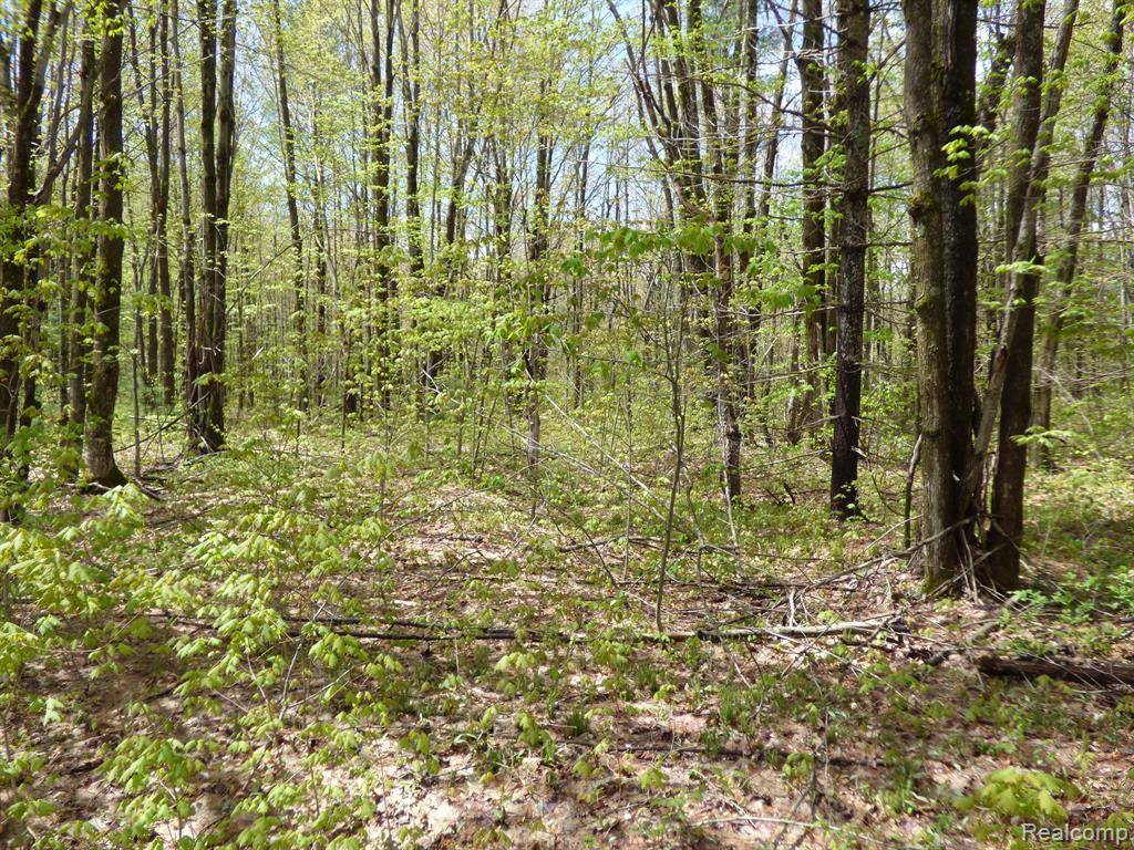 000 Valleywood Circle, Hayes Twp, MI 49730