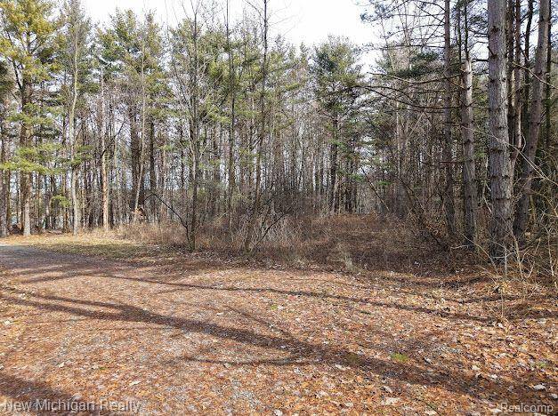 Tyrone Twp, MI 48430,11461 WHITE LAKE Road
