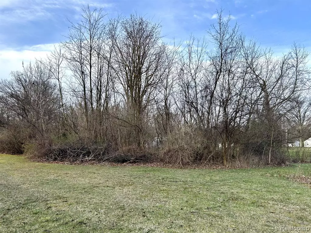 Sumpter Twp, MI 48111,43655 BEMIS Road