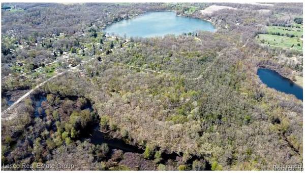 15299 McCaslin Lake Road, Argentine Twp, MI 48451