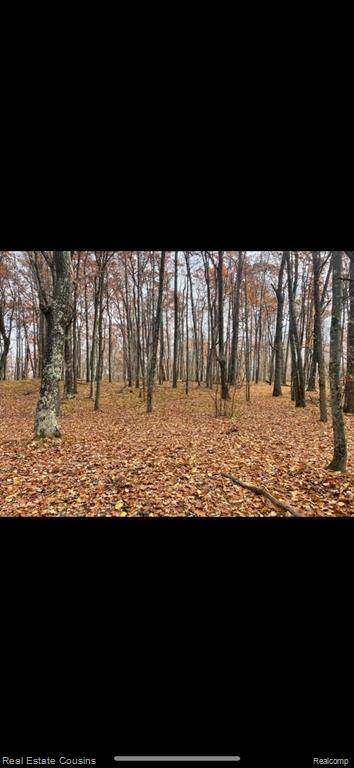 Lincoln Twp, MI 48622,Lot 718 Oak Run
