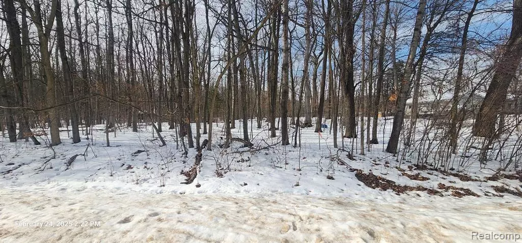 001 Driftwood Drive, Deerfield Twp, MI 48430