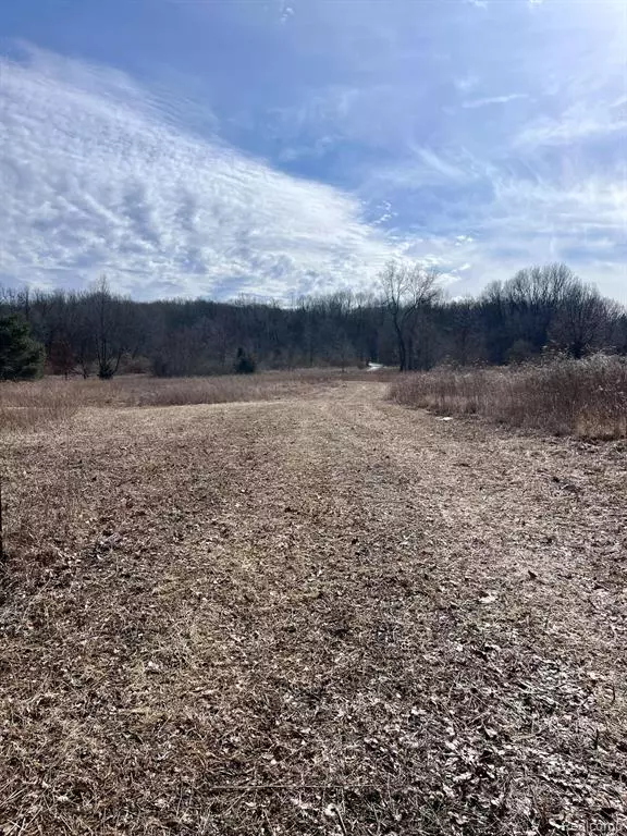 Genoa Twp, MI 48843,Parcel 2 Coon Lake Rd