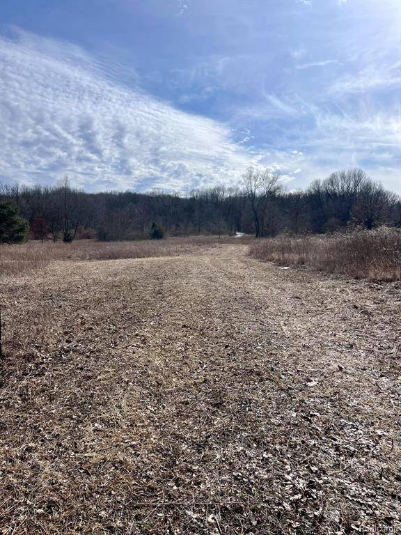 Genoa Twp, MI 48843,Parcel 2 Coon Lake Rd