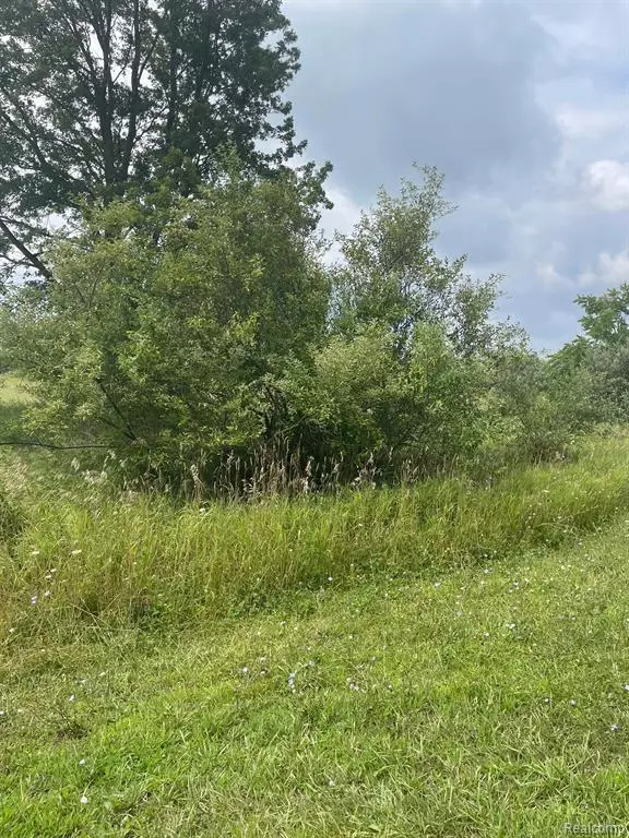 Metamora Twp, MI 48371,0000 BRAUER Road