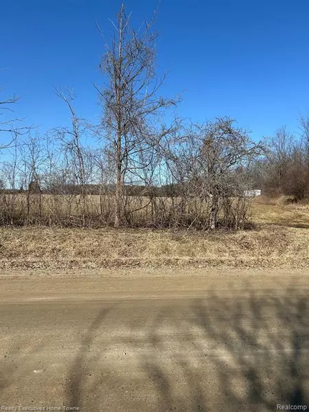 00 JEDDO RD VAC, Yale, MI 48006