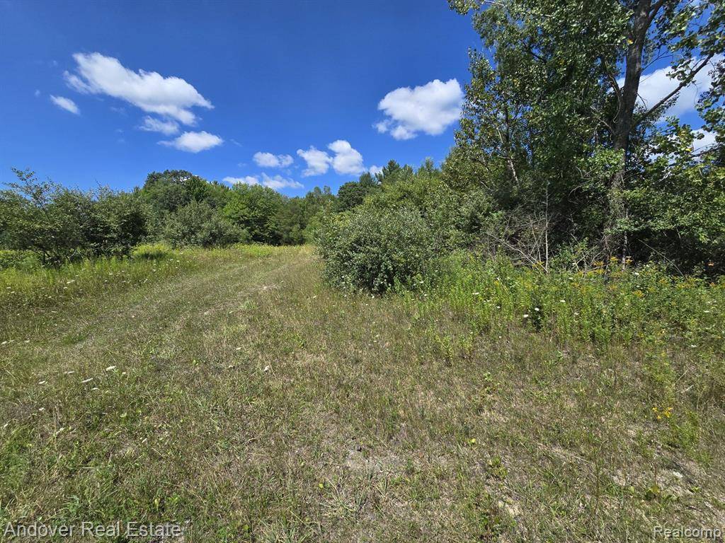 Brown Twp, MI 49619,000C Leckrone Road