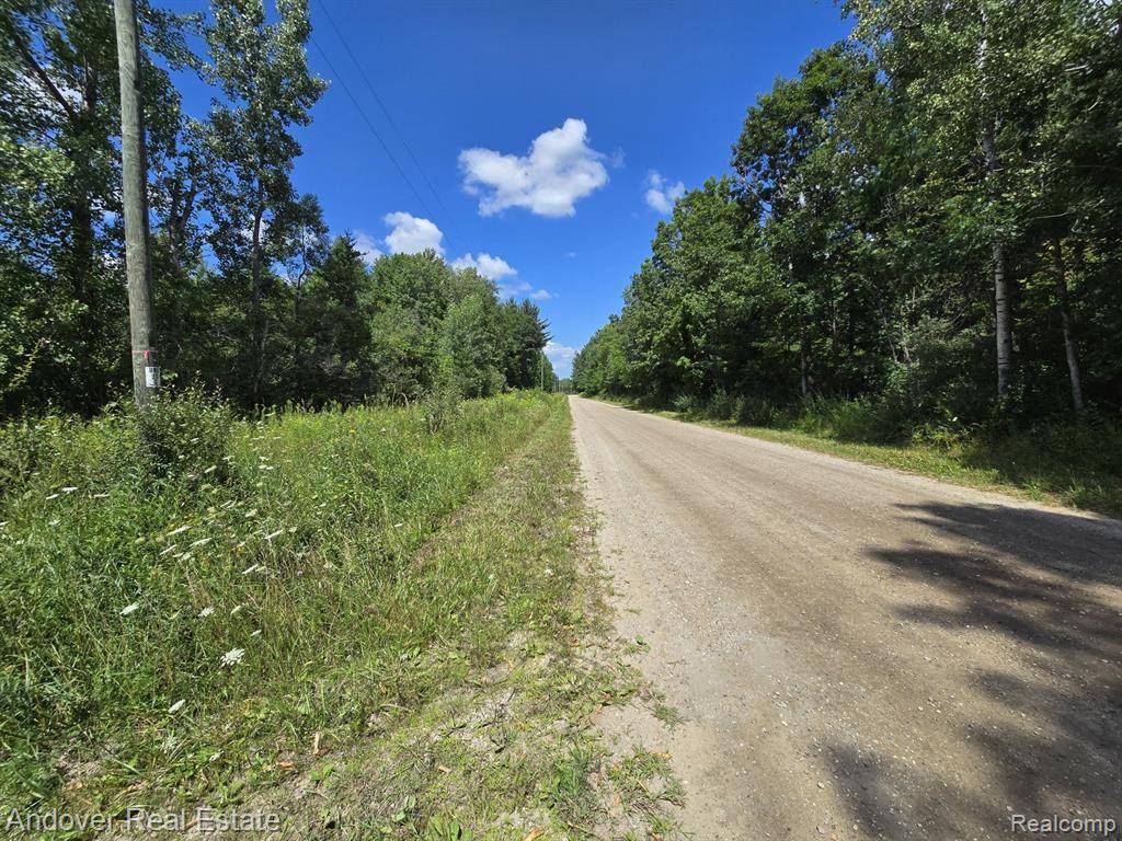 Brown Twp, MI 49619,000C Leckrone Road