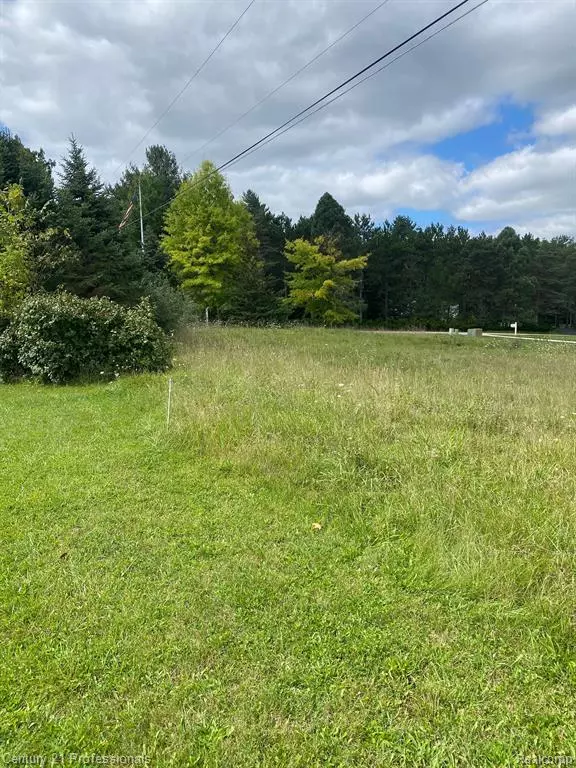Tyrone Twp, MI 48430,lot 69 PRESERVE Drive