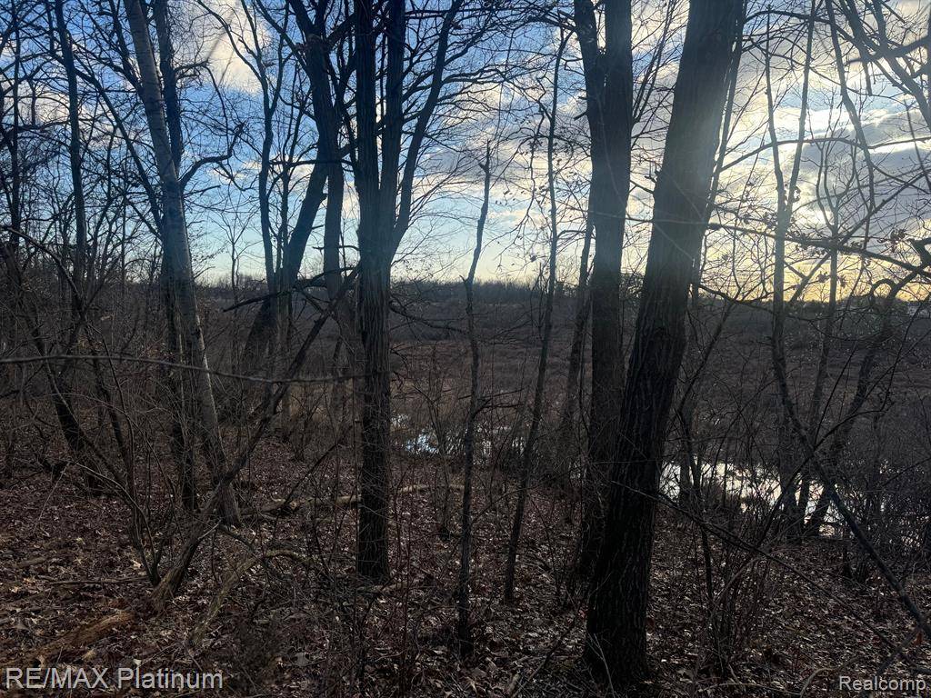 Unadilla Twp, MI 48137,000 DAYMON Road